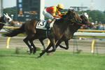1996DERBY.jpg