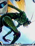 グラスストライダー.jpg